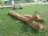 unser Baumstamm