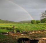 06 rainbow
